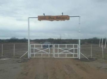 Quinta vacacional · Vendo Campo 300 Ha Ruta 143 General Alvear Mendoza