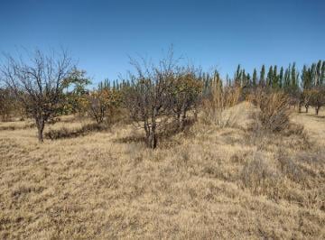 Terreno · 50000m² · Vendo 5 Ha Sobre Ruta Provincial N° 160