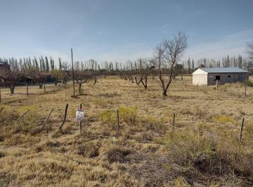 Terreno · 1m² · Vendo Lote 6000 m San Rafael
