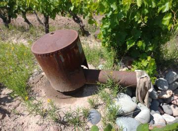 Campo · 200m² · 3 Dormitorios · 5 Cocheras · Vendo Finca a Tranquera Cerrada San Rafael Mendoza