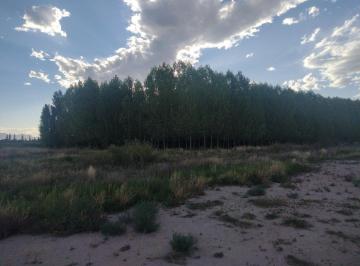 Terreno · 30000m² · Vendo Terreno Rama Caida Calle Cubillos