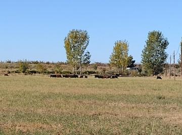 Quinta vacacional · 1040000m² · Vendo Finca Campo Potreros Pasturas Cañada Seca