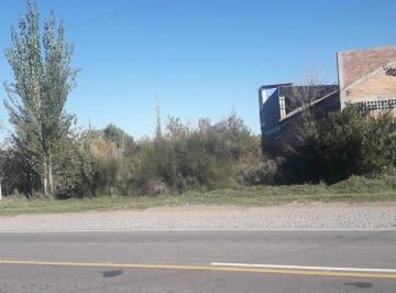 Terreno · Terreno Apto Para Loteo San Rafael Mendoza