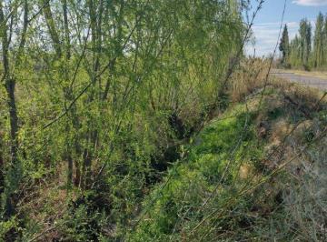 Campo · 210m² · 2 Cocheras · Vendo Finca 5.5 Ha a Tranquera Cerrada