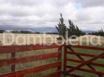 Campo · 250000m² · Terreno Campo en Venta en Punta Indio, Resto de La Provincia, Buenos Aires