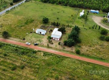 Campo · 8000m² · 4 Ambientes · Chacra en Venta en Carmelo