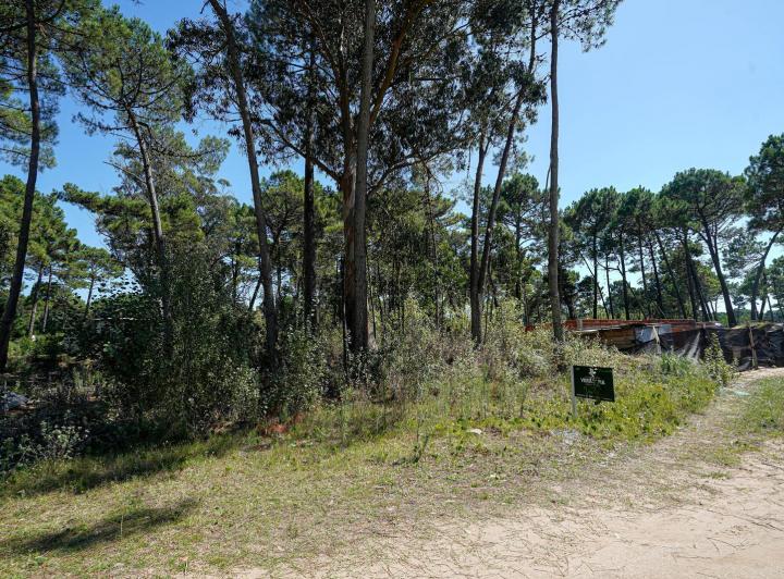 Terreno · 905m²
