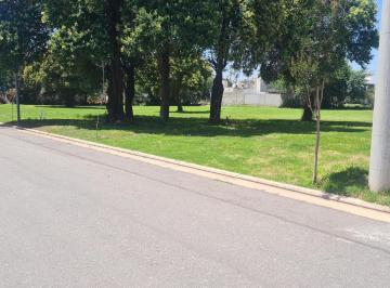Terreno · 252m² · Lotes/ Terrenos Jardín de Las Tejas - Zona Zur (Tejas Ii)