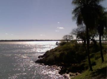 Campo · 6020000m² · 602 Ha con Costa Rio Parana - Ideal Desarrollo - Corrientes