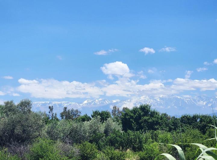Terreno · 2039m²
