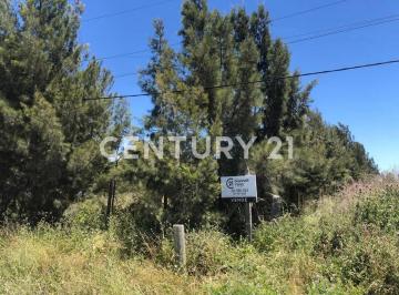 C21-085-990946_2 · Venta de Lote en Los Talas, Berisso
