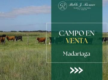 Campo , General Juan Madariaga · Campo en Venta en Madariaga