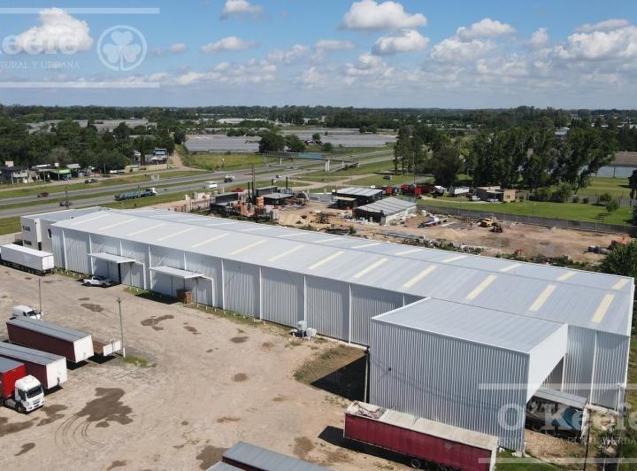 Bodega-Galpón · 2600m²