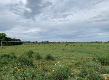 Terreno · 12000m² · Venta Terreno Santa Fe - Colastine