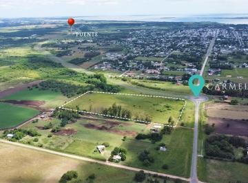 Campo · 59494m² · Chacra en Venta - Carmelo - Colonia