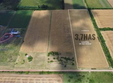 Campo · 37000m² · Venta - Chacra - 3.7 Ha - Colonia Estrella Carmelo