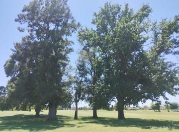 Campo , Escobar · Escobar - Lote Nuevo en Haras Santa Maria.