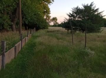 Terreno · 10000m² · Terreno en Polvaredas