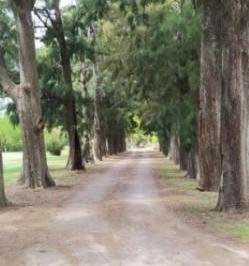Terreno · 5000m² · Terreno en Haras El Malacate Exaltación de La Cruz