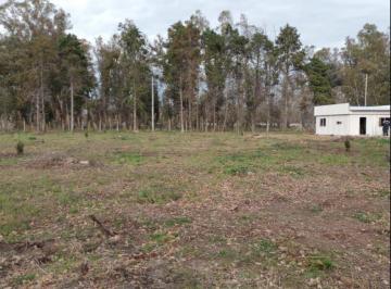 Terreno · 420m² · Terreno en Barrio Cerrado Los Pinos