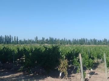 Campo · 145m² · 2 Dormitorios · 2 Cocheras · Finca 13 Ha con Produccion, Casa y Galpon