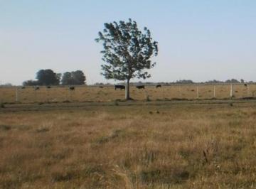 Campo · 187500m² · Campo en Venta en El Rodeo