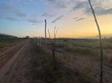 Terreno , Las Heras · Lote en Venta en El Algarrobal