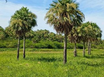 Terreno · 732m² · Bellísimo Terreno con Vista Al Palmar, Bo Don Fernando