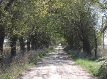 Campo · 120m² · 3 Ambientes · Campo en Venta 360 Has en Magdalena. Suelo 80 % Agrícola.