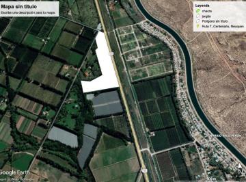 Campo · 64300m² · Venta de Chacra Sobre Ruta 151 - Zona Cinco Saltos - Oportunidad