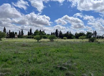 Foto · Lote en Venta Ex Ruta 36