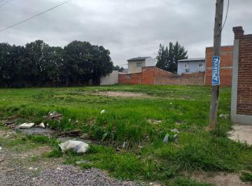 C21-092-991638_2 · Lote. | Los Nardos