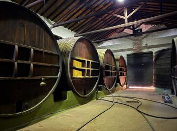 Bodega-Galpón · 3650m² · Bodega en Venta en Lunlunta Maipu Mendoza