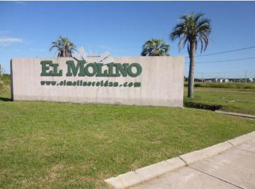 Terreno · 700m² · Terreno en El Molino Roldán