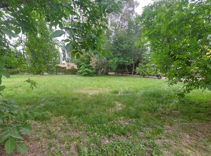 Terreno · 920m²