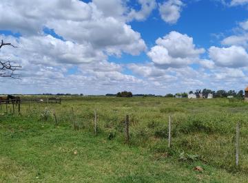 Campo · 525m² · 1 Ambiente · Venta de Lotes en Oliden - Brandsen