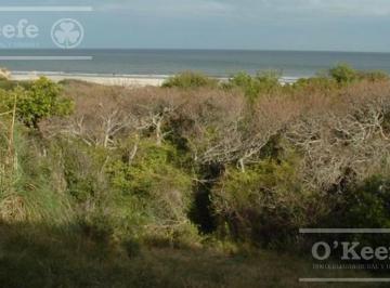 Campo · 1170000m² · Tierra Apta Desarrollo de 117 Has en Canelones, Uruguay
