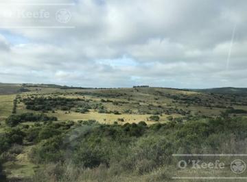Campo · 4600000m² · Campo en Venta de 876 Has Cerro Largo, Uruguay
