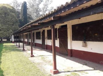 Campo · 100000m² · Haras 55 Boxes - Solis - Prov. Bs As