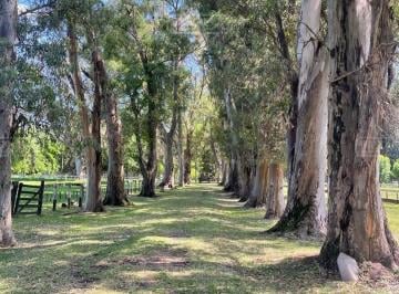 Campo · 170000m² · Terreno Campo en Venta en Pilar, G. B. a. Zona Norte, Argentina