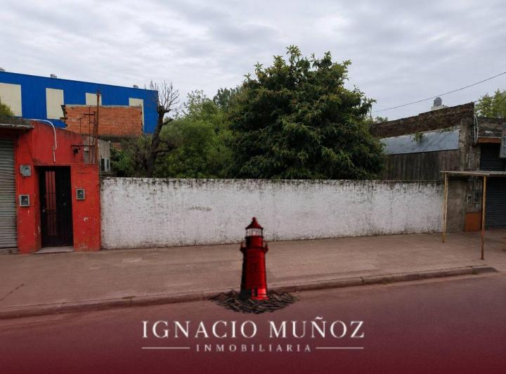 Lote de 219 m² Sobre Calle Muy Transitada. a m de Camino de Cintura.
