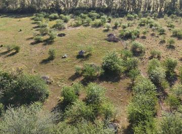 Terreno · 15600m² · Venta - Lote - Etchegoyen - Exaltación de La Cruz