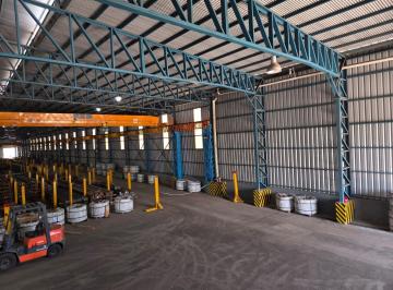 Depósito · 5000m² · Galpon de 5000 m² en Parque Industrial Alvear C/ Puente Grua