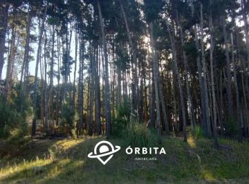 Terreno · 1119m² · Lote en Venta en Costa Esmeralda, Senderos III