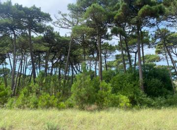 Terreno · 875m² · Lote en Venta Zona Alamos - Pinamar (Deriva E/ Alamos y de Las Garzas)