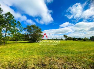 AMN-AMN-3314_2 · Venta de Lote en Medal Country Club - Pilar