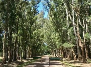 Terreno , Luján · Barrio Cerrado Tres Pinos - Polo - Lote Venta Usd 28.000