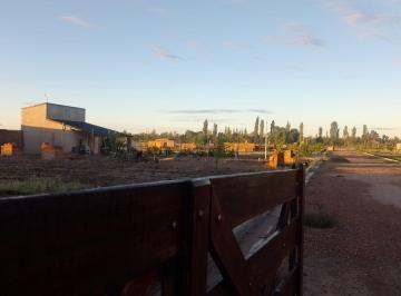 Terreno , San Rafael · Lotes Financiados - San Rafael Mendoza