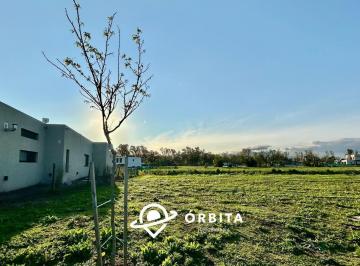 Terreno · 519m² · Lote en Venta en Barrio Santa Sofía, Pilar del Este, Fondo Al Verde