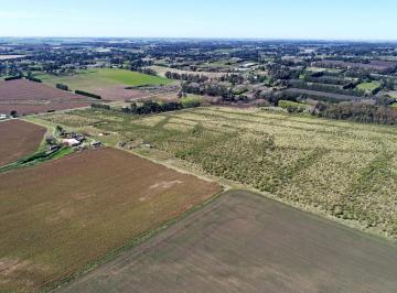 Campo · 410000m² · Mar del Plata - 41 Ha Sierra de Los Padres